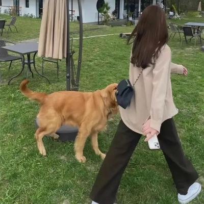 逆者